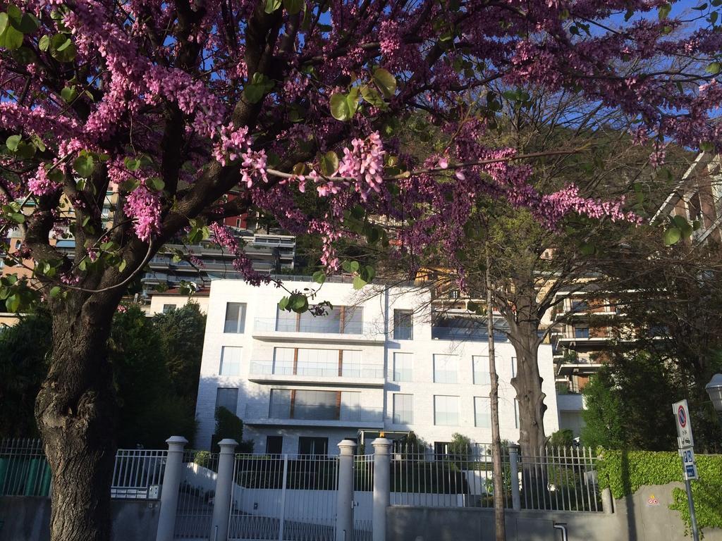 קומו Villa Bianca חדר תמונה